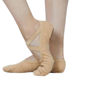 Canvas ballet shoe vegan